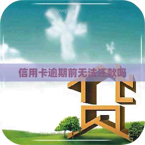 信用卡逾期前无法还款吗