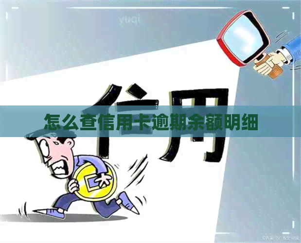 怎么查信用卡逾期余额明细