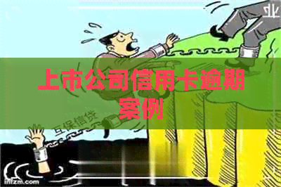 上市公司信用卡逾期案例