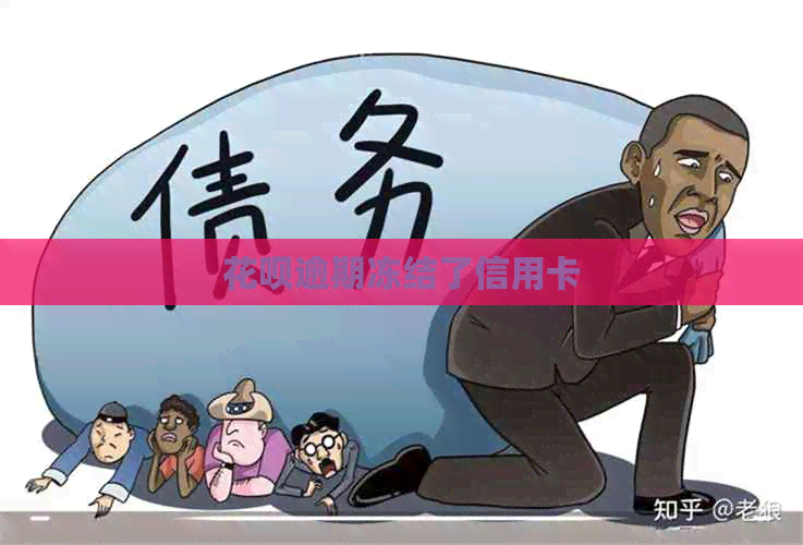 花呗逾期冻结了信用卡