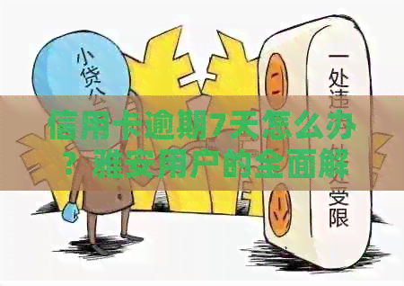 信用卡逾期7天怎么办？雅安用户的全面解决方案和应对策略