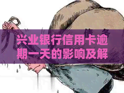 兴业银行信用卡逾期一天的影响及解决办法，了解详细情况