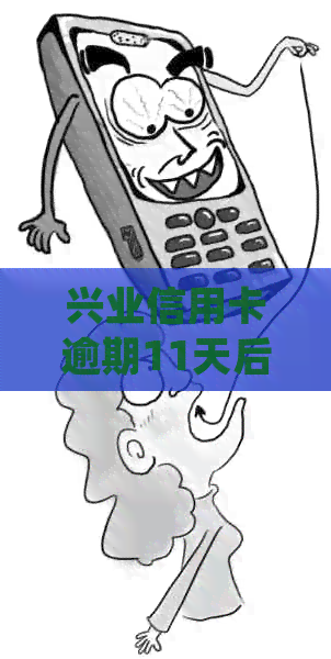 兴业信用卡逾期11天后果：了解详细处理流程与影响