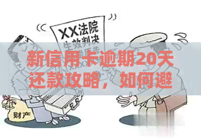 新信用卡逾期20天还款攻略，如何避免信用损失？