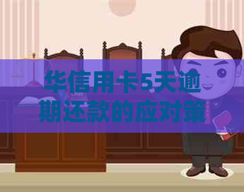 华信用卡5天逾期还款的应对策略：详细步骤与建议