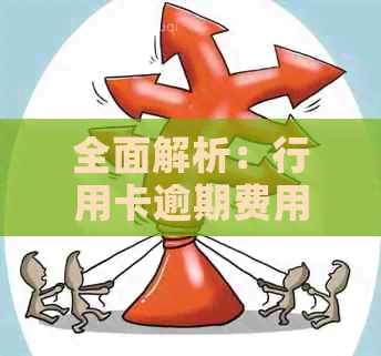 全面解析：行用卡逾期费用计算方法及影响因素大揭秘！