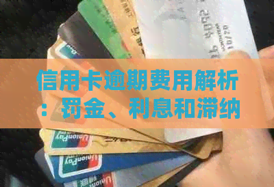 信用卡逾期费用解析：罚金、利息和滞纳金全解析，如何避免不必要的支出
