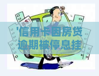 '信用卡因房贷逾期被停息挂账：解决方法与影响'