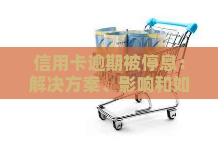 信用卡逾期被停息：解决方案、影响和如何恢复信用