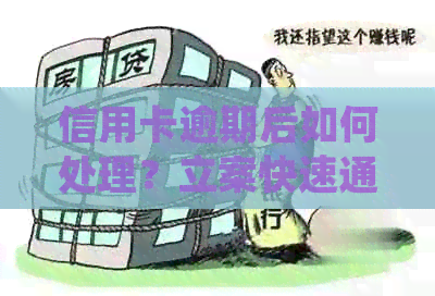 信用卡逾期后如何处理？立案快速通道是否有效？了解详细解决方法和注意事项