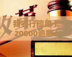 我农行信用卡20000逾期4个多5个月了的后果与解决办法