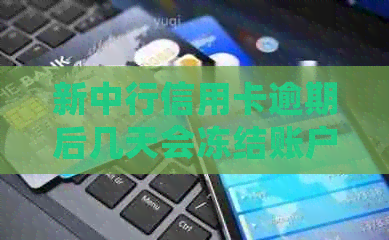 新中行信用卡逾期后几天会冻结账户？逾期还款后果及解决办法一文解析