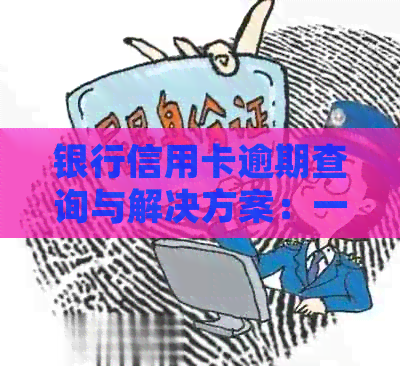 银行信用卡逾期查询与解决方案：一站式助力您随时掌握信用状况
