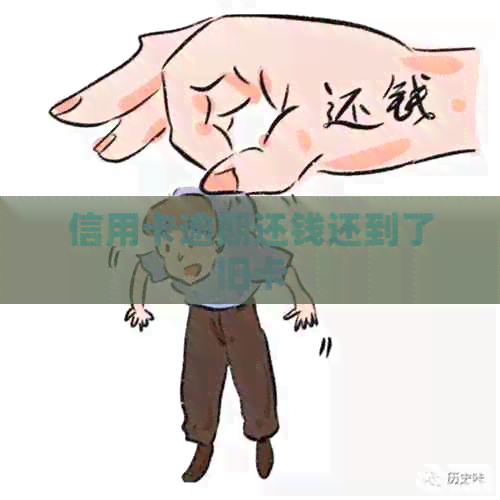 信用卡逾期还钱还到了旧卡