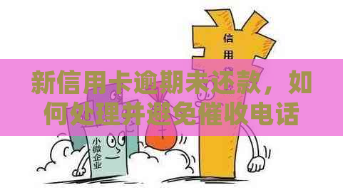 新信用卡逾期未还款，如何处理并避免电话？