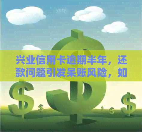 兴业信用卡逾期半年，还款问题引发呆账风险，如何解决？