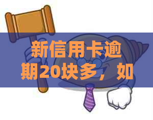 新信用卡逾期20块多，如何妥善处理并避免罚息？