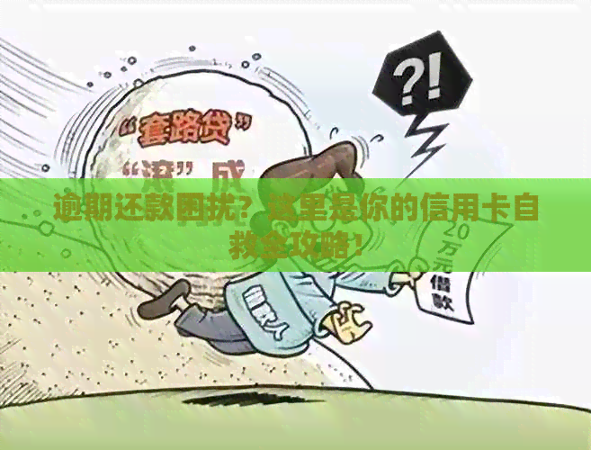 逾期还款困扰？这里是你的信用卡自救全攻略！