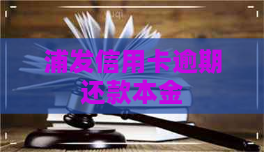 浦发信用卡逾期还款本金