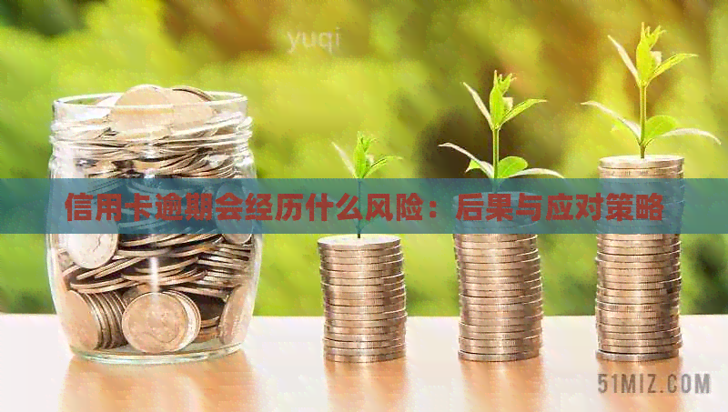 信用卡逾期会经历什么风险：后果与应对策略