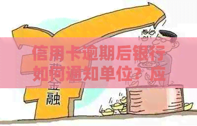 信用卡逾期后银行如何通知单位？应对策略与解决方法大全