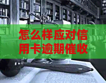 怎么样应对信用卡逾期电话问题，投诉技巧。