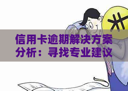 信用卡逾期解决方案分析：寻找专业建议的可靠性及风险