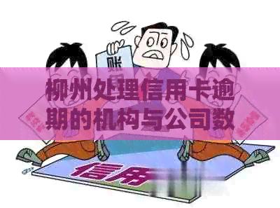 柳州处理信用卡逾期的机构与公司数量概览