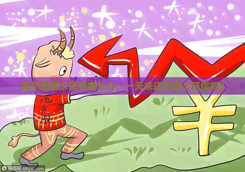 海尔信用卡逾期怎么办：一天未还款会上吗？