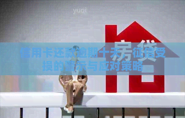 信用卡还款逾期十天，受损的警示与应对策略