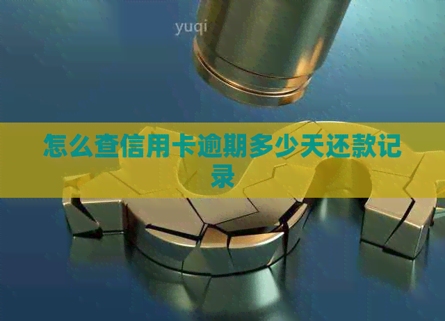 怎么查信用卡逾期多少天还款记录
