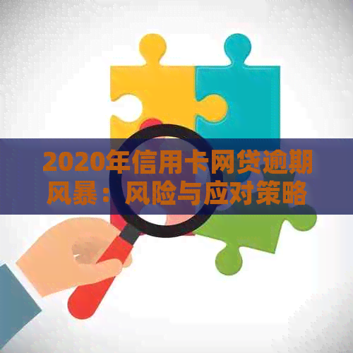 2020年信用卡网贷逾期风暴：风险与应对策略