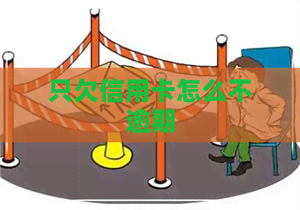 只欠信用卡怎么不逾期