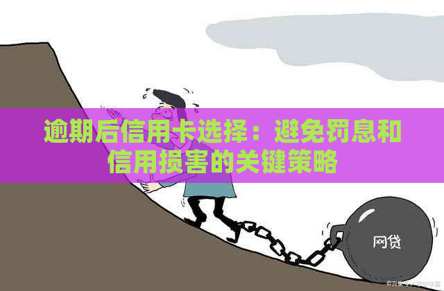 逾期后信用卡选择：避免罚息和信用损害的关键策略