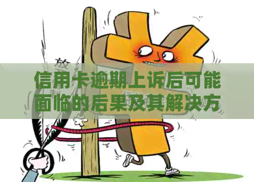 信用卡逾期上诉后可能面临的后果及其解决方法是什么？