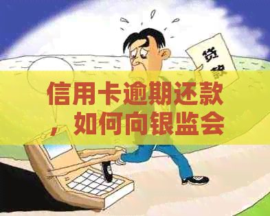 信用卡逾期还款，如何向银监会解释原因？