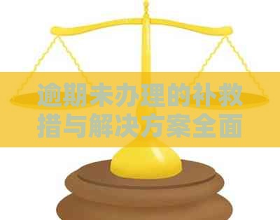 逾期未办理的补救措与解决方案全面解析
