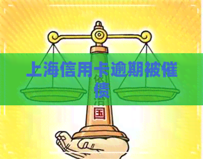 上海信用卡逾期被催债
