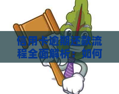 信用卡逾期还款流程全面解析：如何规划、协商与解决逾期问题