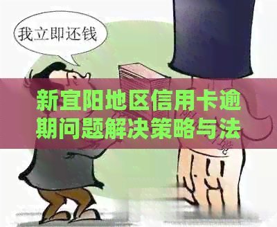 新宜阳地区信用卡逾期问题解决策略与法律咨询