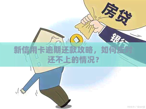 新信用卡逾期还款攻略，如何应对还不上的情况？