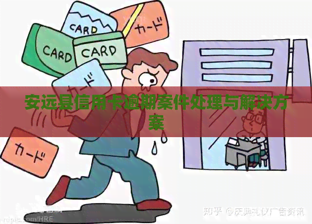 安远县信用卡逾期案件处理与解决方案