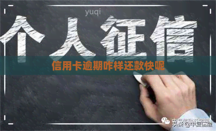 信用卡逾期咋样还款快呢