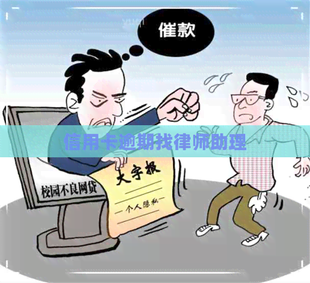 信用卡逾期找律师助理