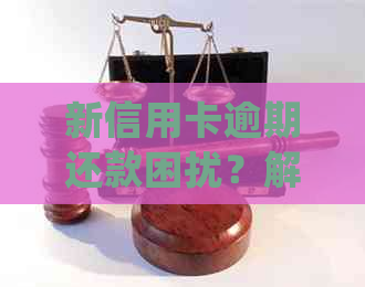 新信用卡逾期还款困扰？解决方案和建议在此！(不增加其他关键词)