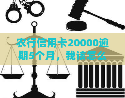 农行信用卡20000逾期5个月，我该怎么办？逾期还款的后果及解决办法全解析