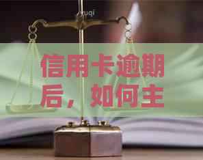 信用卡逾期后，如何主动联系银行进行协商？