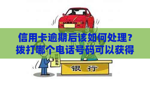 信用卡逾期后该如何处理？拨打哪个电话号码可以获得帮助和解决方案？