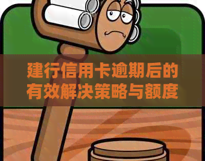 建行信用卡逾期后的有效解决策略与额度恢复方法