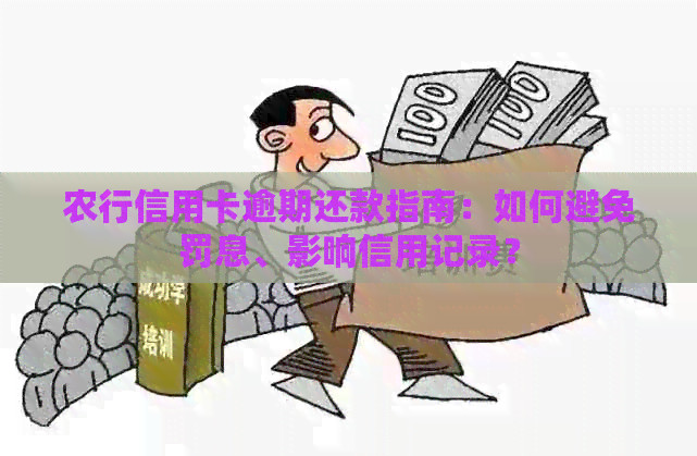 农行信用卡逾期还款指南：如何避免罚息、影响信用记录？